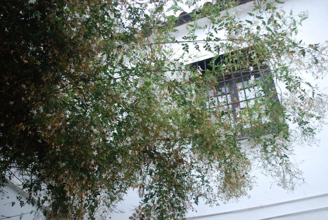 Backpacker Al-Katre Bed & Breakfast Cordoba Ngoại thất bức ảnh