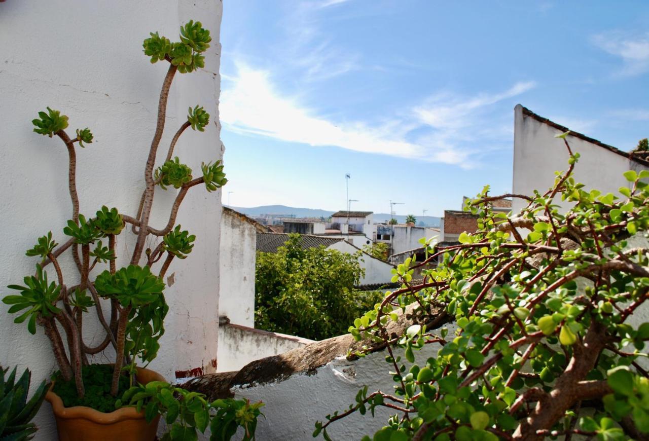 Backpacker Al-Katre Bed & Breakfast Cordoba Ngoại thất bức ảnh