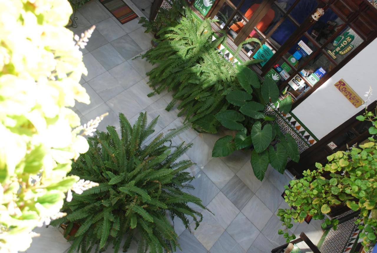 Backpacker Al-Katre Bed & Breakfast Cordoba Ngoại thất bức ảnh